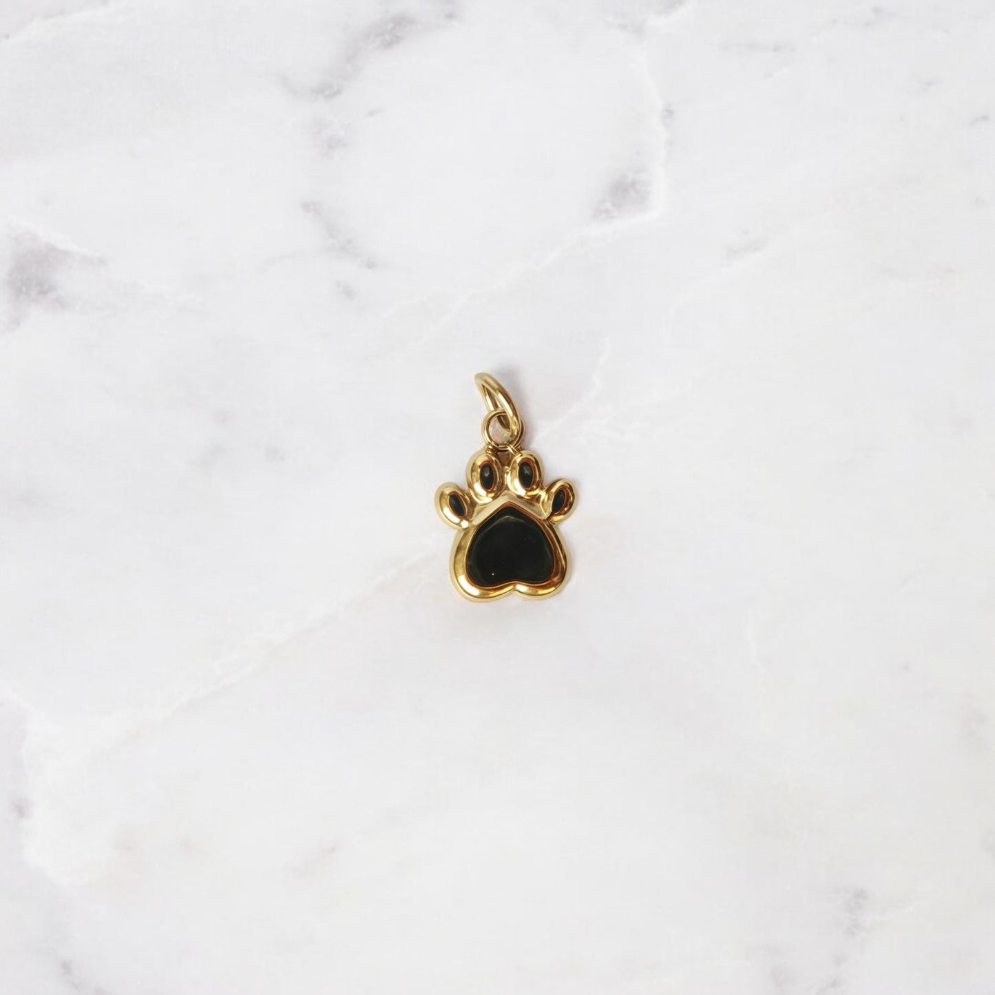 CHARM ZAMPA CANE
