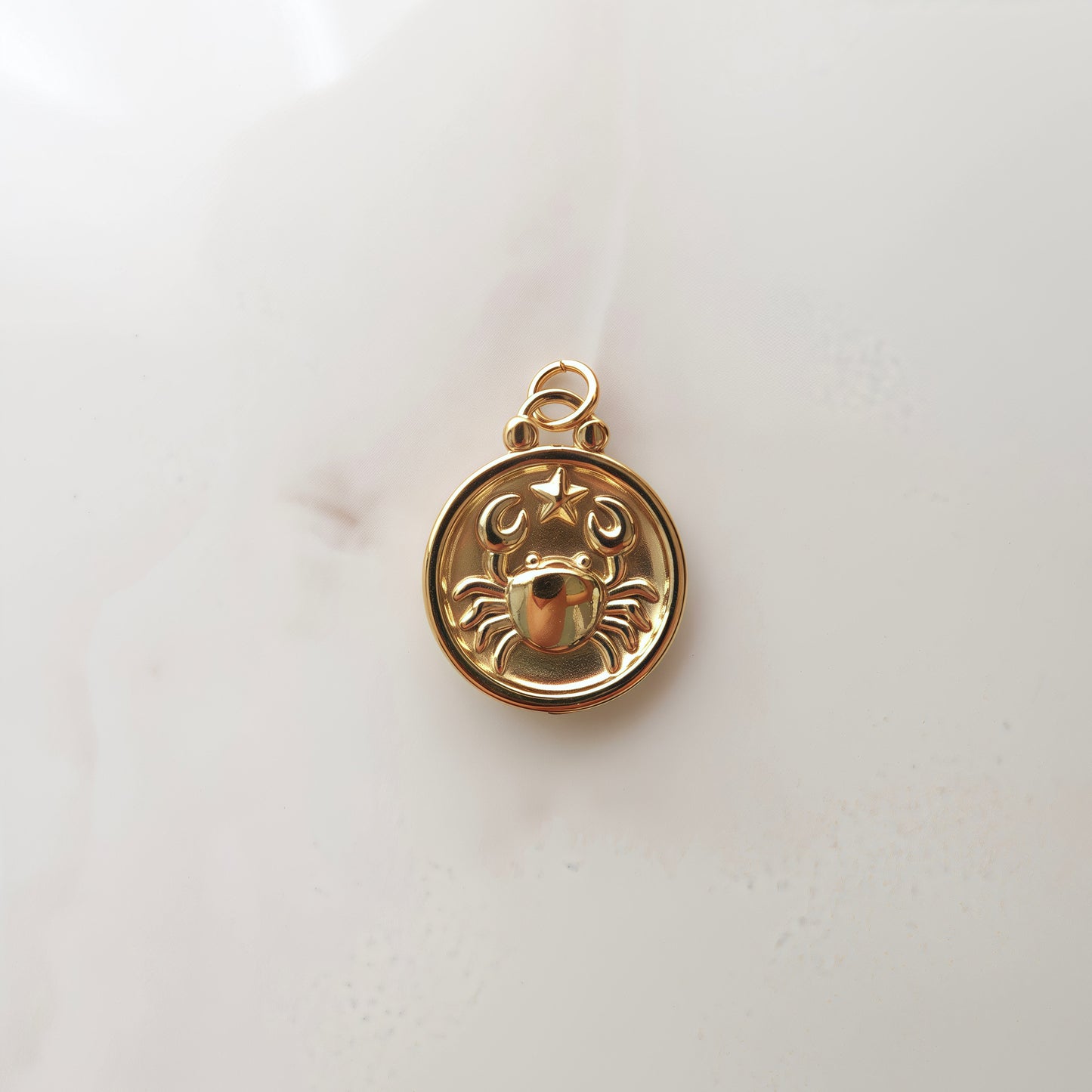 Charm Segno Zodiacale