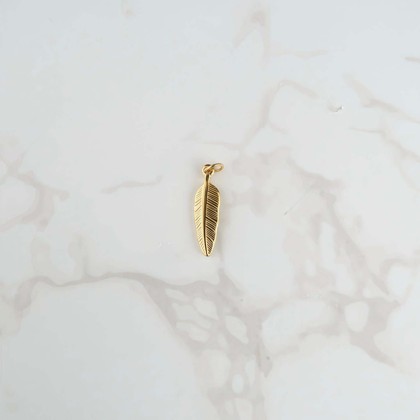 CHARM PIUMA
